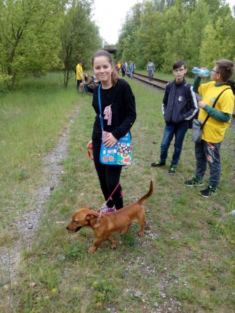 Wolontariusze w Schronisku dla bezdomnych zwierząt w Częstochowie 2019